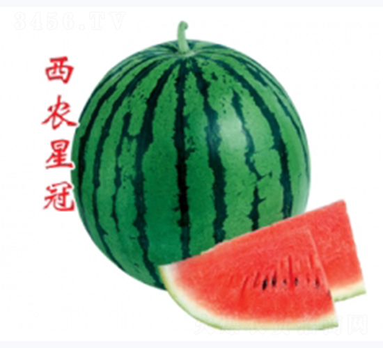 ���r(n��ng)�ǹ�-���ϷN��-�ؼt�N�I(y��)