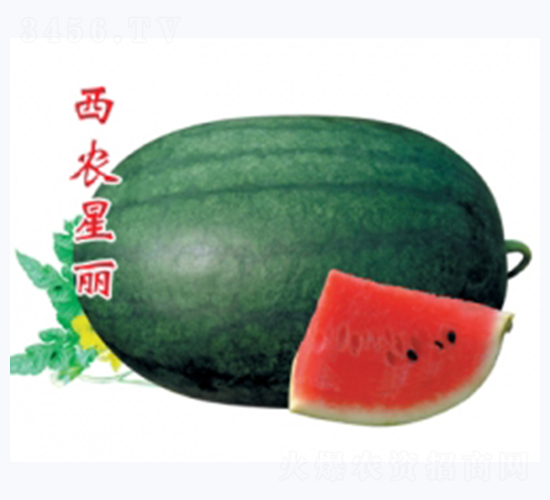 ���r(n��ng)����-���ϷN��-�ؼt�N�I(y��)