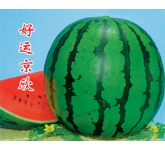 ���\(y��n)����-���ϷN��-�ؼt�N�I(y��)