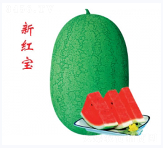 �¼t��-���ϷN��-�ؼt�N�I(y��)