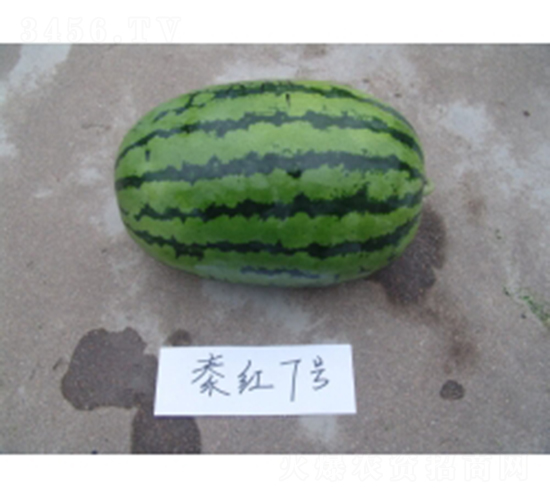 �ؼt7̖-���ϷN��-�ؼt�N�I(y��)