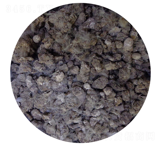 С�u�S-�T������