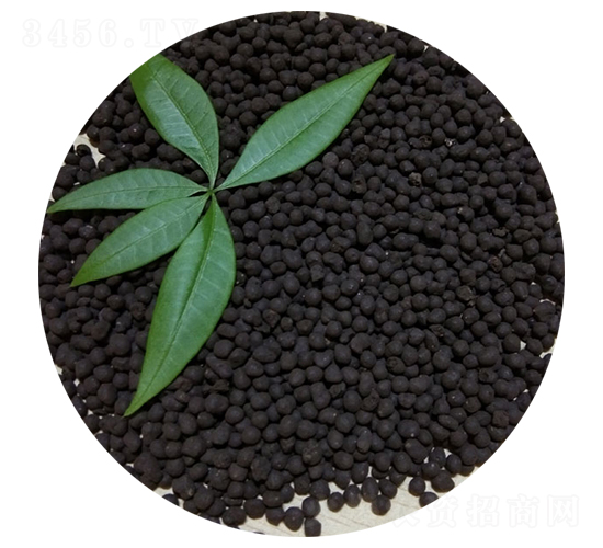 ����u�S��-�T������