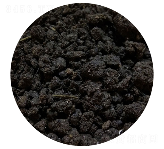 ����S��-�T������