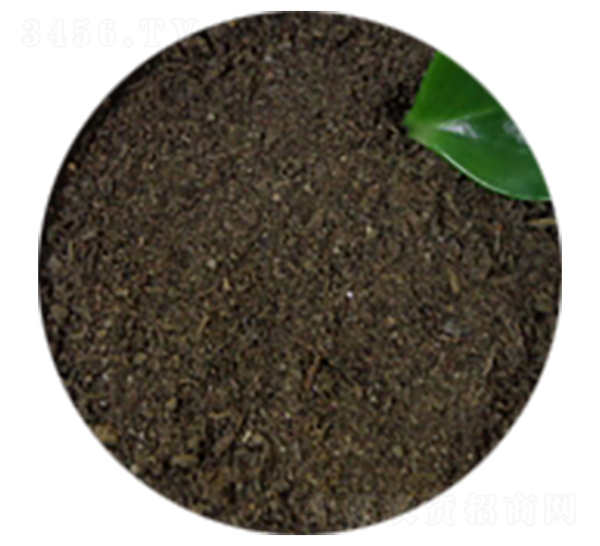 ��S��-�T������