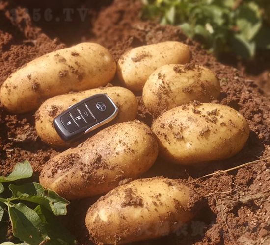 ����8̖(h��o)-�R����N��-����N�I(y��)