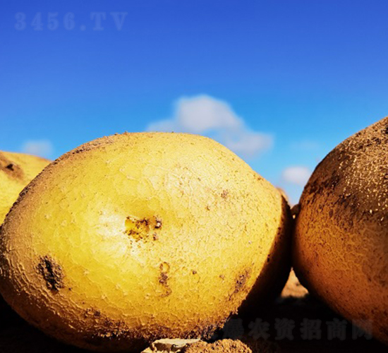 �S����-�R����N��-����N�I(y��)