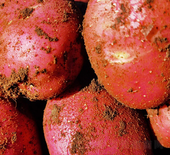 �t�-�R����N��-����N�I(y��)