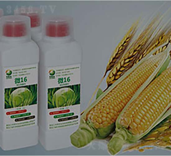 ΢16-΢�������-�����S