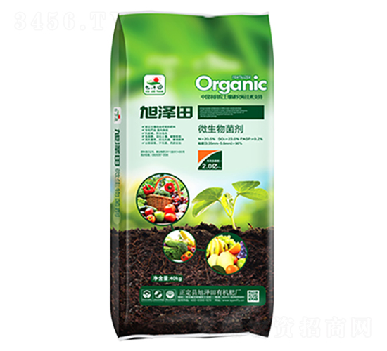 ΢�������-���ߌ�-�����