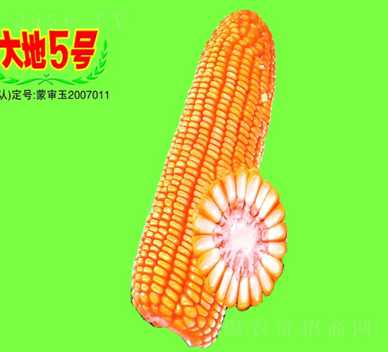 ���5̖-���׷N��-��طN�I(y��)