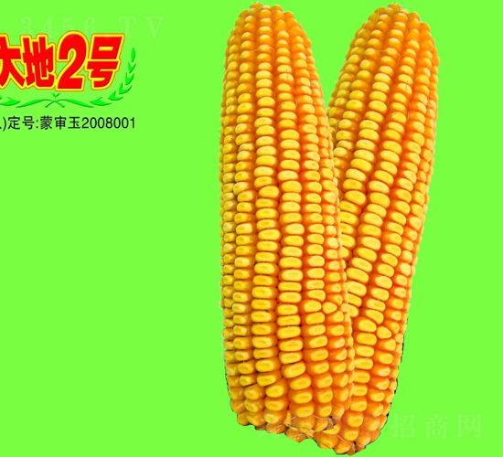 ���2̖-���׷N��-��طN�I(y��)