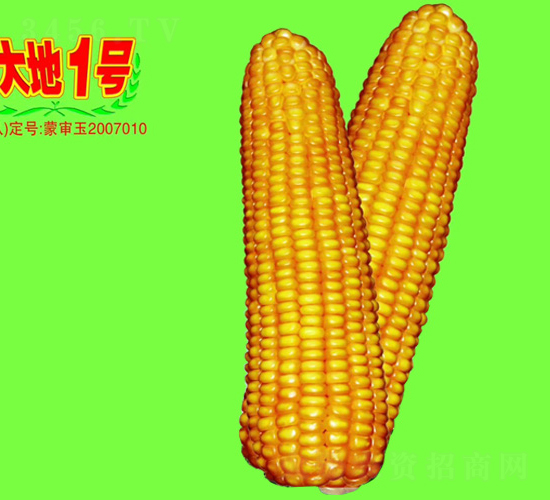 ���1̖(h��o)-���׷N��-��طN�I(y��)