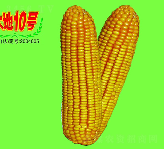 ���10̖(h��o)-���׷N��-��طN�I(y��)