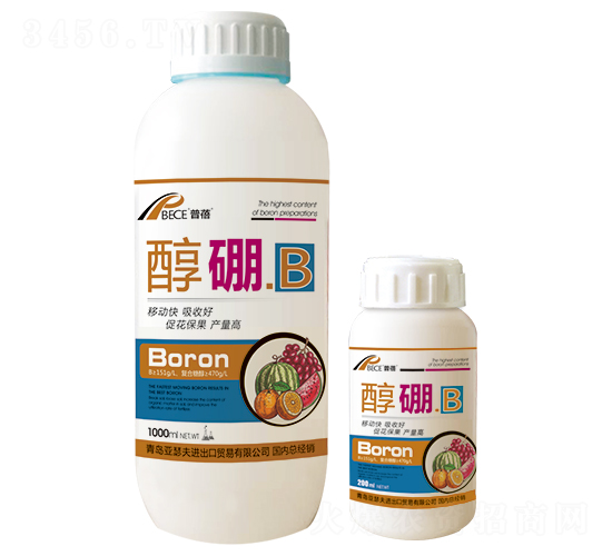 ����.B-����-��ɪ��