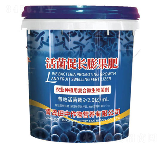 ������L�����-��������