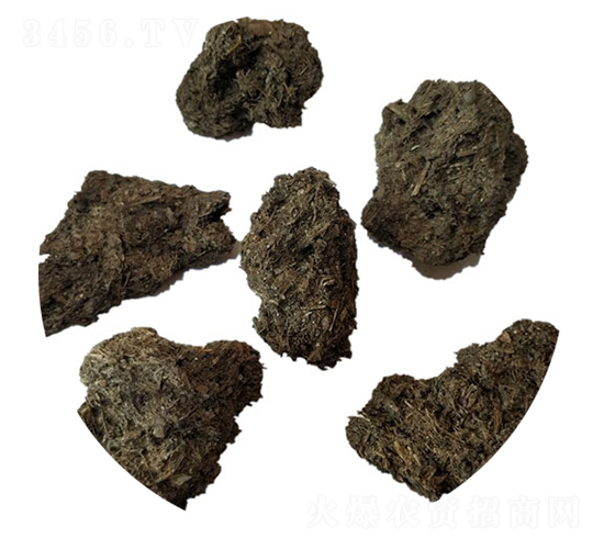 ��ţ�S-ʥ������