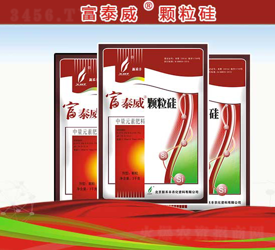 �w����-��̩��-�º��S