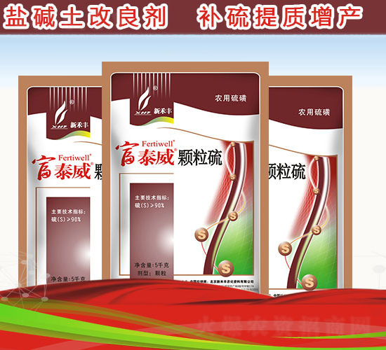 �w����-��̩��-�º��S