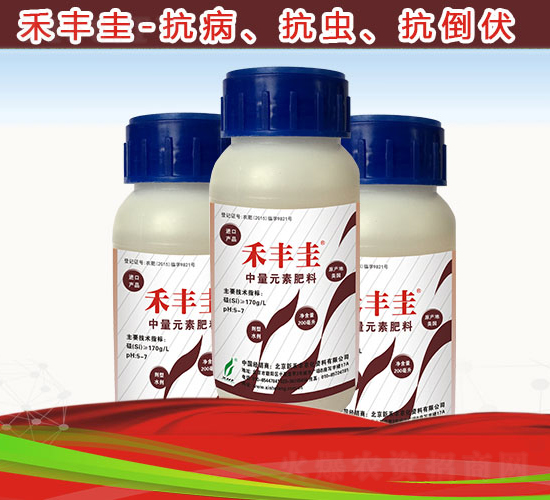 ���S��-�º��S