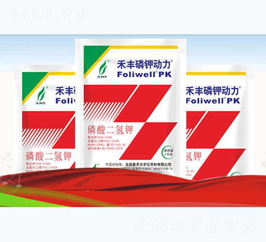 ���S��⛄���-�º��S