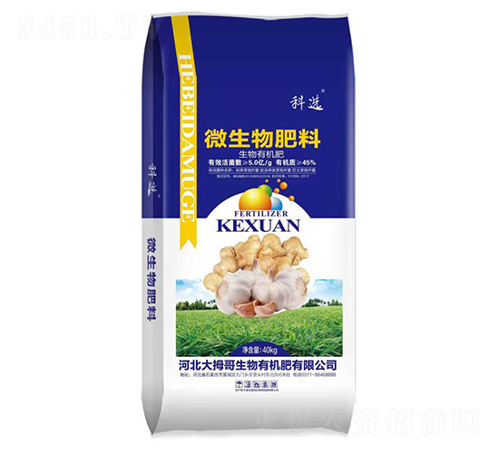 ΢�������-��Ĵ��