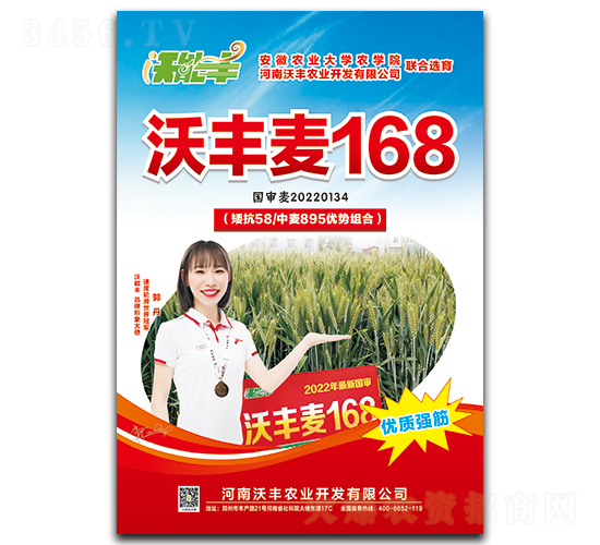 ���S��168-С���N��-�����S