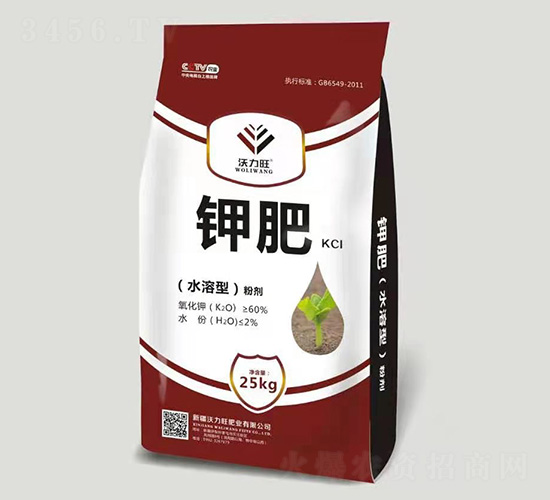 ⛷�-������