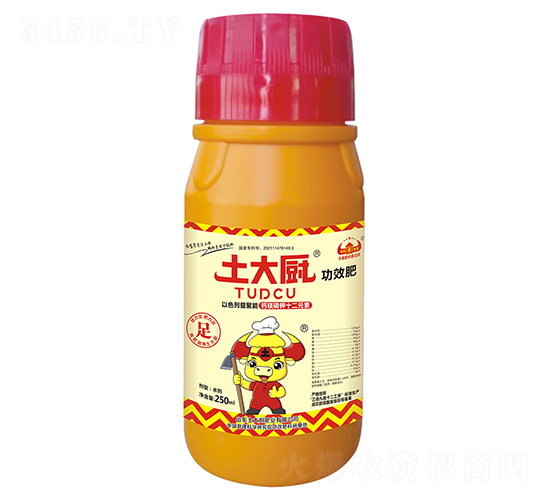 �}�V���ʮ��Ԫ��-����N