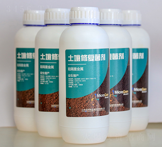 �ؽ����������ޏ�(f��)����-�~��������