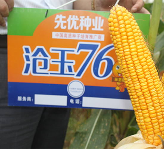 ����76-���׷N��-���P(y��ng)�N�I(y��)