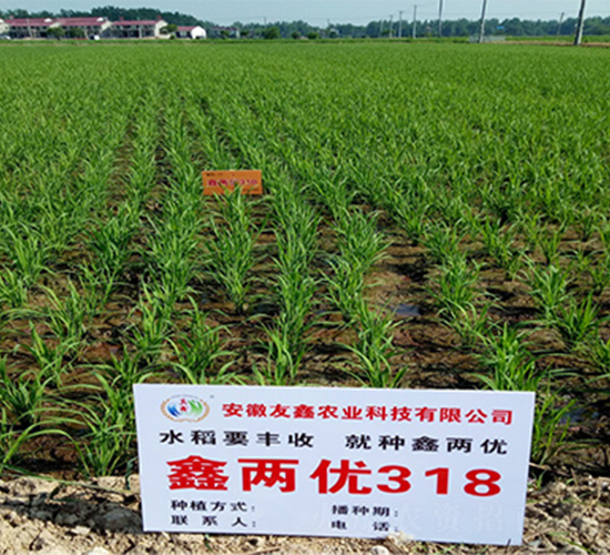 �΃Ƀ�(y��u)318-ˮ���N��-���P(y��ng)�N�I(y��)