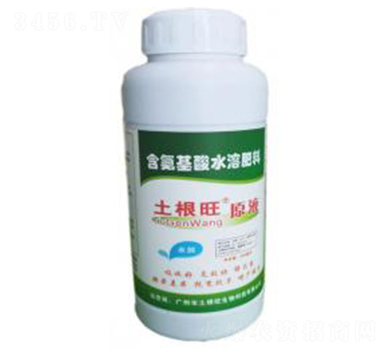 ԭҺ-������