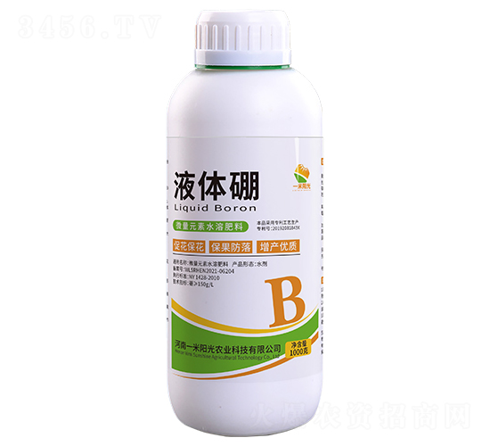 Һ�w��-һ��ꖹ�