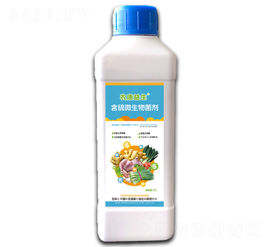 ����΢�������-���d����