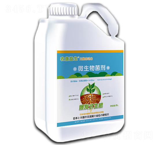 ΢�������-��������-���d����