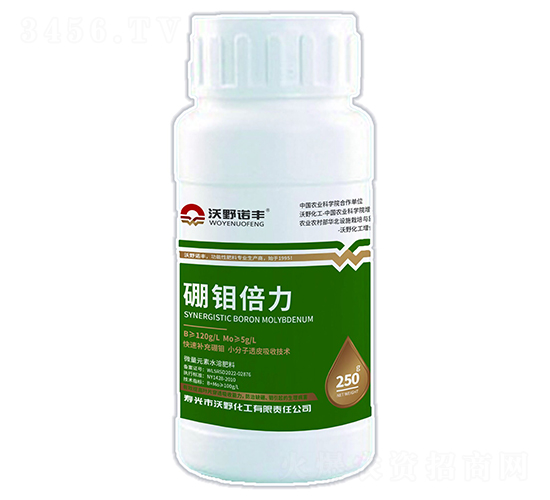 ���f����-��Ұ�Z�S