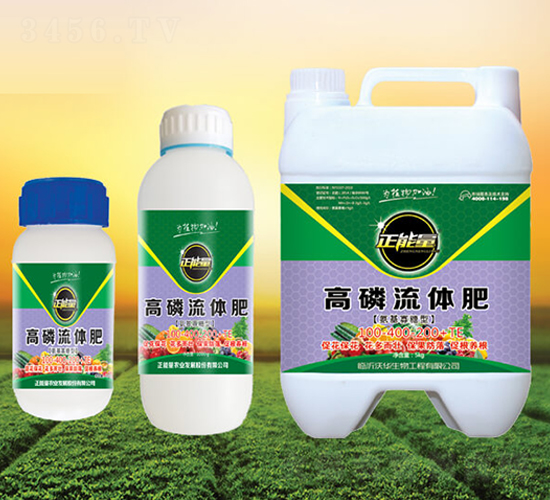 ���������͸������w��-������