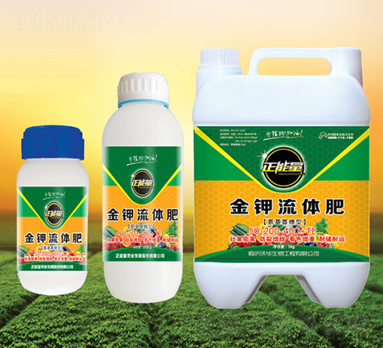 ��������⛽�����w��-������