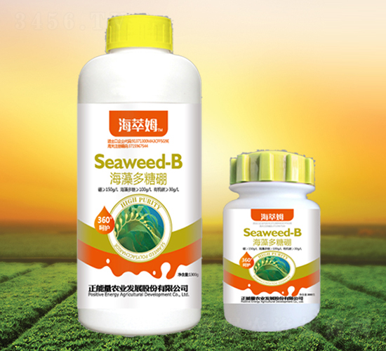 ���������-����ķ-������