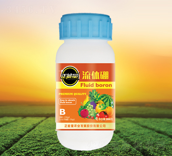 ���w��-������