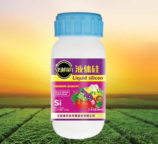 Һ�w��-������