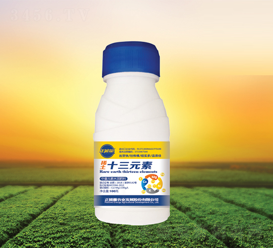 ϡ��ʮ��Ԫ��-������