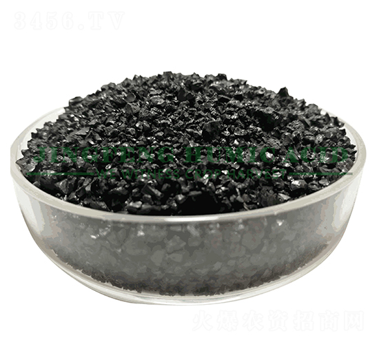 ��ֲ��⛽Y(ji��)��-���S��ֲ��