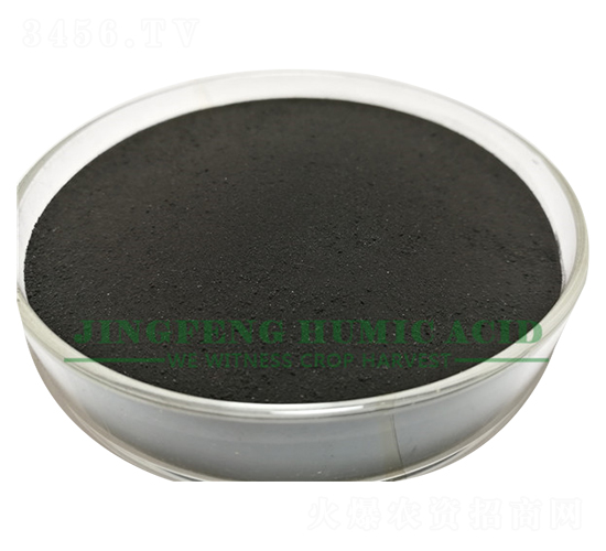 ��ֲ���ĩ-���S��ֲ��