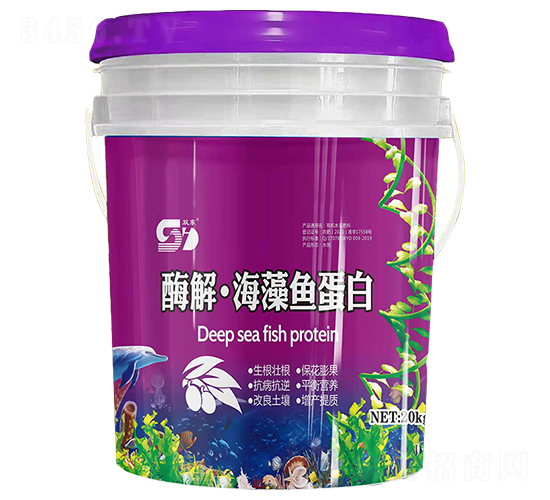 ø�⡤�����~����-���|����