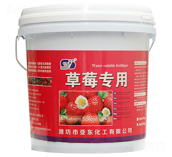 ��ݮ����-���|����