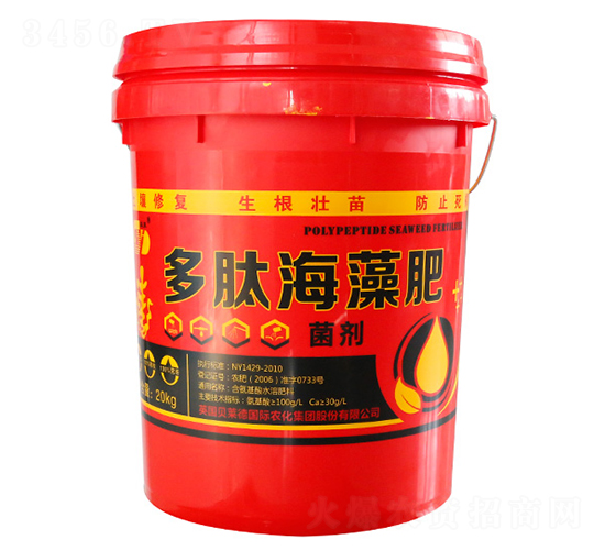 ���ĺ����-���|����