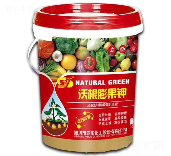 �ָ�����-���|����