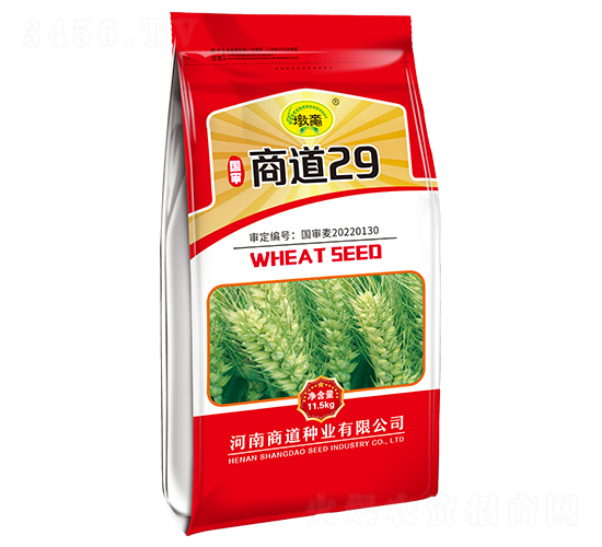 �̵�29-С���N��-�̵��N�I(y��)